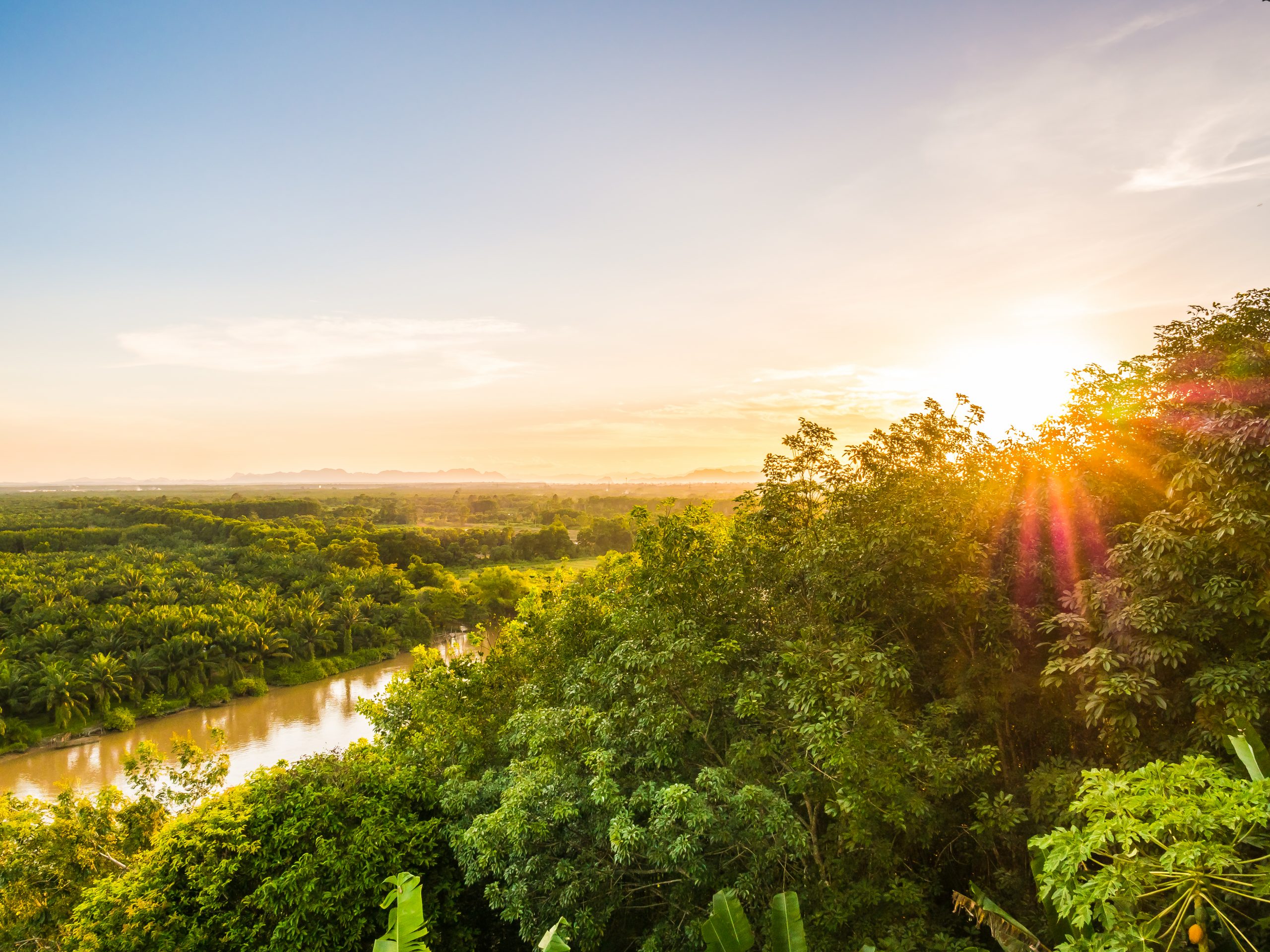 Preservação da Amazônia é prioridade para o país, afirmam especialistas