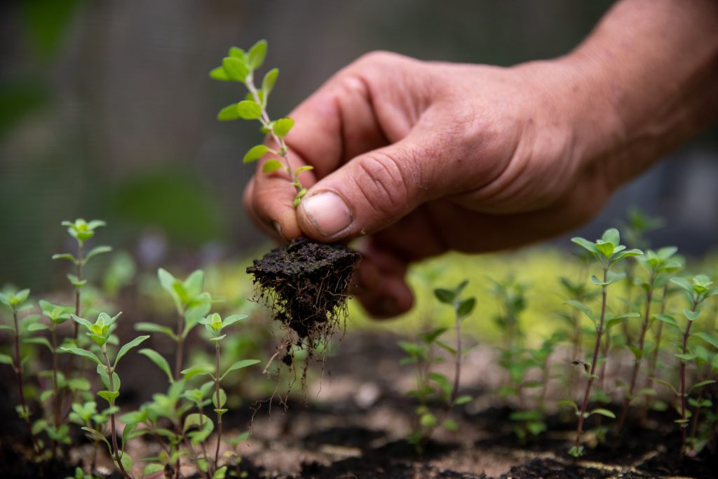 Revista InterFACES abre chamada para dossiê do volume 34, nº1 (2024